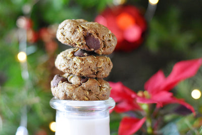 Hemp Seed Protein Chocolate Chip Cookies