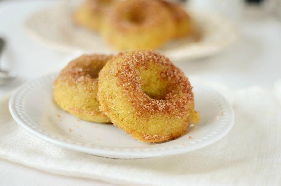 Coconut Flour Cinnamon Doughnuts