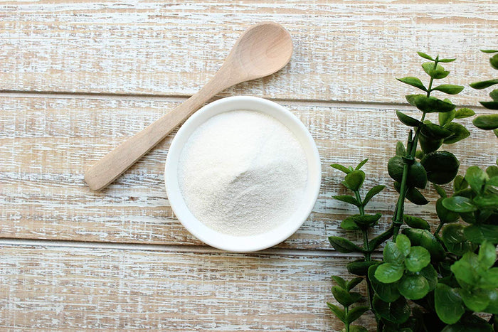 Organic Acacia Senegal Powder